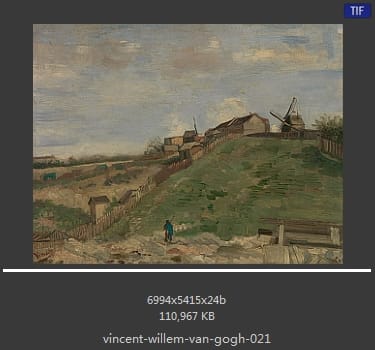 Vincent van Gogh