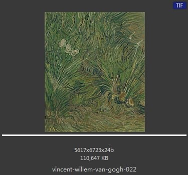 Vincent van Gogh