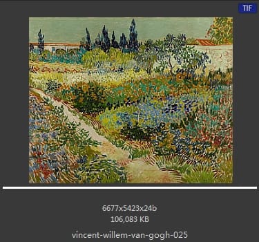 Vincent van Gogh