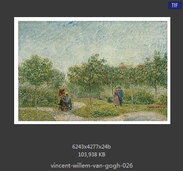 Vincent van Gogh