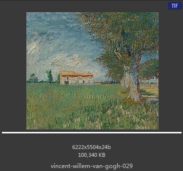 Vincent van Gogh