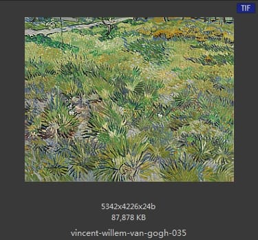 Vincent van Gogh