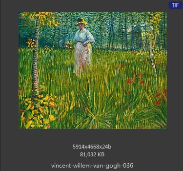 Vincent van Gogh