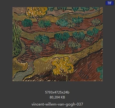 Vincent van Gogh