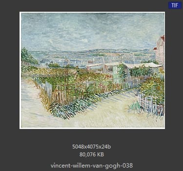 Vincent van Gogh