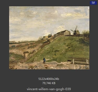 Vincent van Gogh