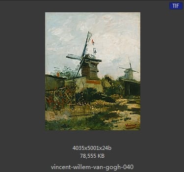 Vincent van Gogh