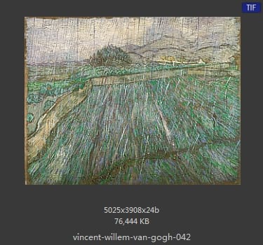 Vincent van Gogh