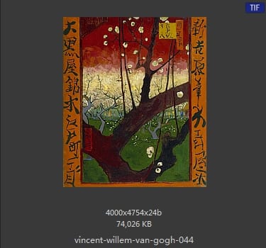 Vincent van Gogh