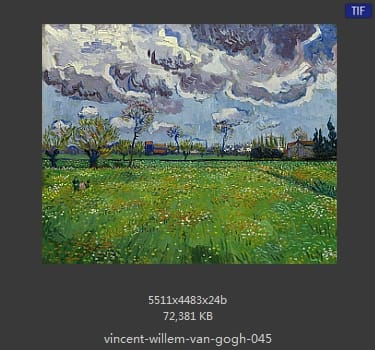 Vincent van Gogh