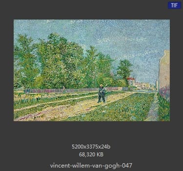 Vincent van Gogh