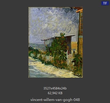 Vincent van Gogh