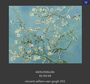 Vincent van Gogh