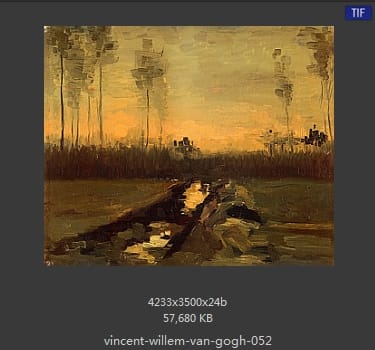 Vincent van Gogh