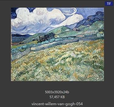 Vincent van Gogh