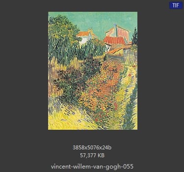 Vincent van Gogh