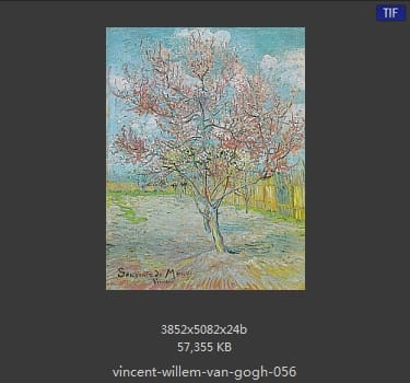 Vincent van Gogh