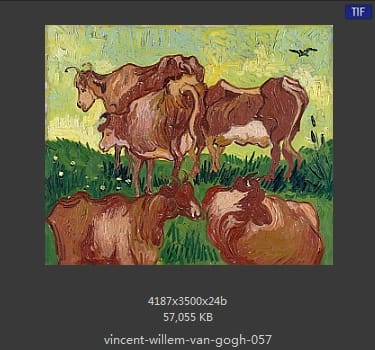 Vincent van Gogh