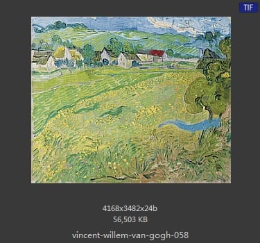 Vincent van Gogh
