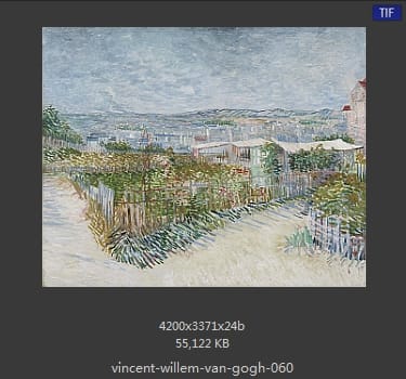 Vincent van Gogh