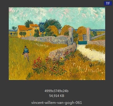Vincent van Gogh