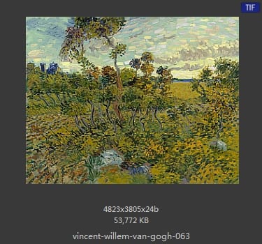 Vincent van Gogh