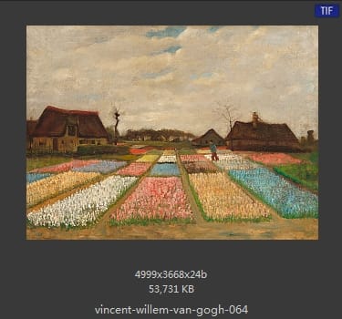 Vincent van Gogh