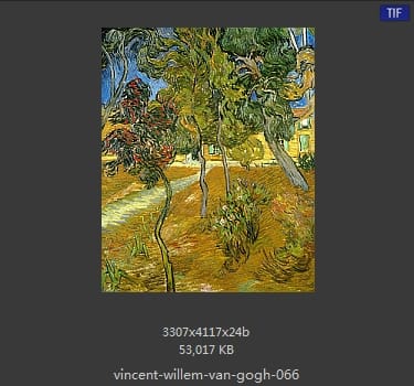 Vincent van Gogh