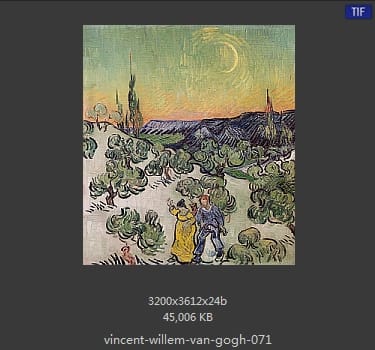Vincent van Gogh