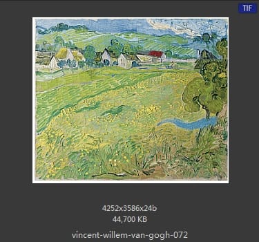 Vincent van Gogh