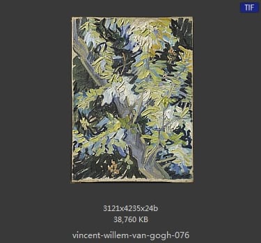 Vincent van Gogh