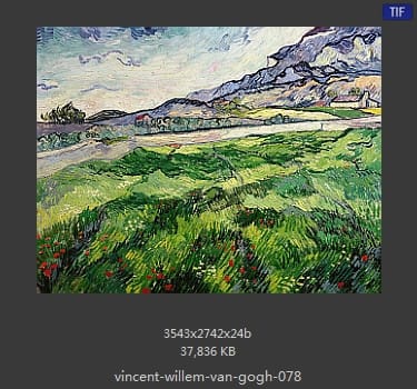Vincent van Gogh