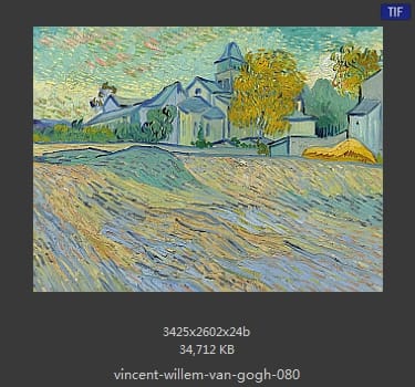 Vincent van Gogh