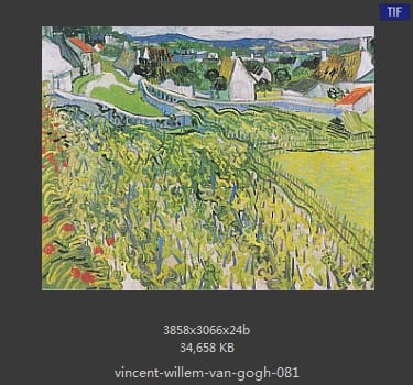 Vincent van Gogh