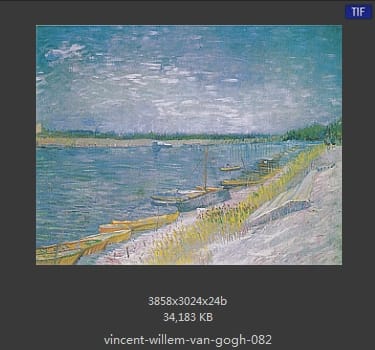 Vincent van Gogh