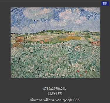 Vincent van Gogh
