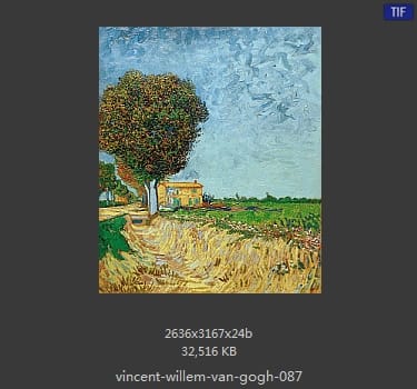 Vincent van Gogh