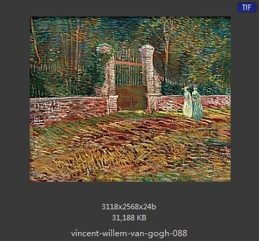 Vincent van Gogh