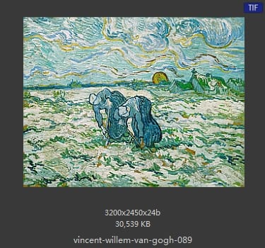 Vincent van Gogh