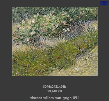 Vincent van Gogh