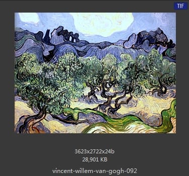 Vincent van Gogh