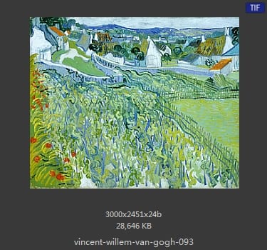 Vincent van Gogh