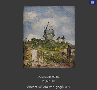 Vincent van Gogh