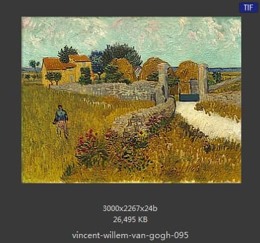 Vincent van Gogh