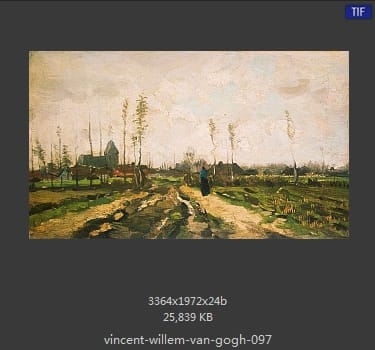 Vincent van Gogh