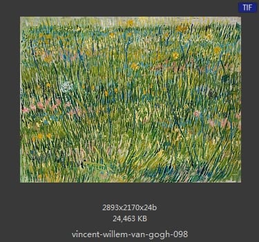 Vincent van Gogh