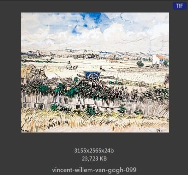 Vincent van Gogh