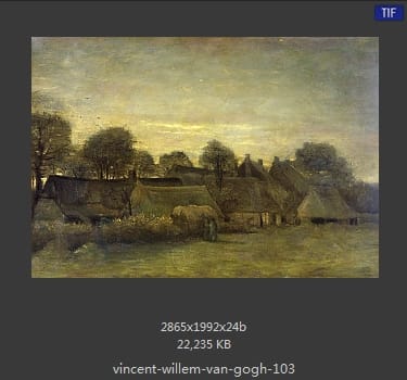 Vincent van Gogh