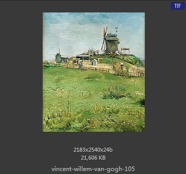 Vincent van Gogh
