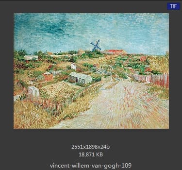 Vincent van Gogh
